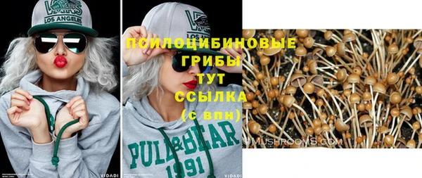 трава Армянск
