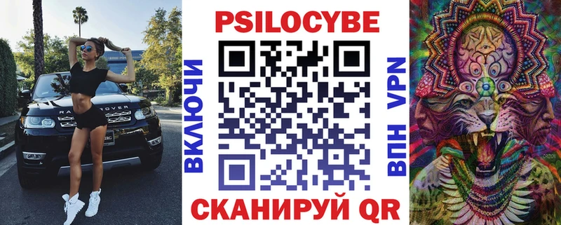 Галлюциногенные грибы Psilocybe  Коряжма 